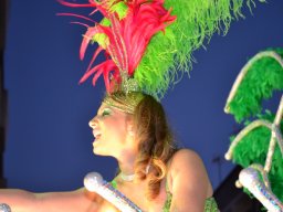 Carnaval de Mula 2012